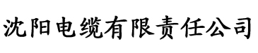 四虎免费在线观看网址电缆厂logo